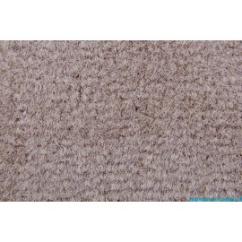 Dorsett Marine Carpet 6 meter Beige